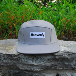 Grey 5 Panel