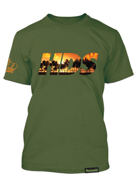HDS-Palms-Army