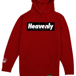 Box Logo Hoodie