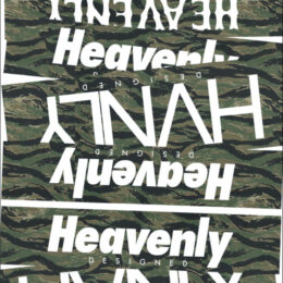 Sticker Slap Skateboard